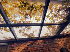 -VOYAGE COFFEE(北锣鼓巷店)