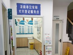-瑞派雷欧宠物医院·24h夜诊·心脏骨科牙科·全科重症转诊中心(无影山店)