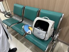 -米苏动物医院·犬猫专科·骨科外科内窥镜