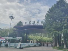 -黄海国家森林公园