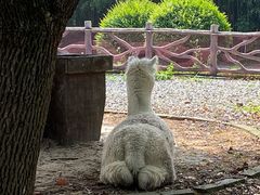 -昆山城市生态森林公园