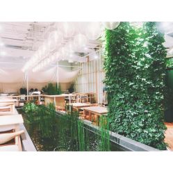 -悦诗风吟innisfree