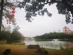 -映月湖公园
