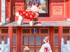 -盛世南宫影视城(北普陀影视城)