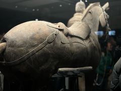 -秦始皇帝陵博物院(兵马俑)