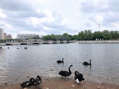 -长春世界雕塑园冰雪艺术天地