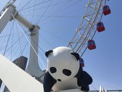 -天津之眼摩天轮