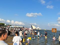 -碧海金沙