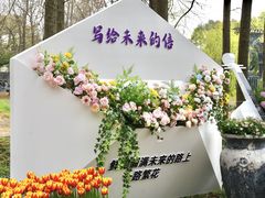 -上海鲜花港