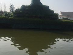 -杭州湾海上花田景区