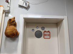 -中农大我爱我爱24h动物医院·中医针灸·猫专科·骨科医疗中心(双井店)
