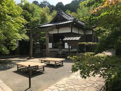 -常寂光寺