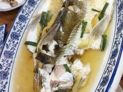 清蒸白水鱼-洞天食府(北大街店)