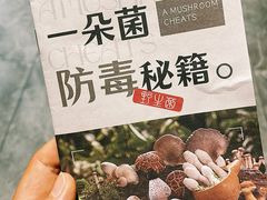 -一朵菌·野生菌探索家火锅(南亚店)