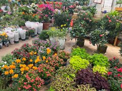 -双季花艺园艺市场(浦东店)