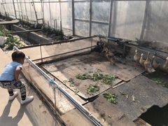 -菊园百果园