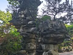 -南山植物园