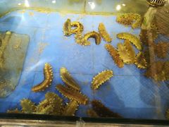 -山东八大碗山东老字号