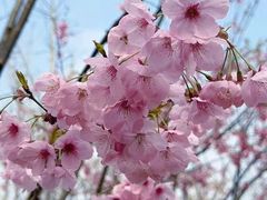 -梁鸿国家湿地公园