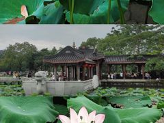 -惠州西湖丰渚园
