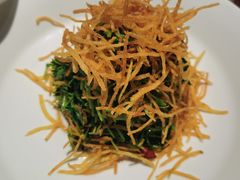 巧拌豆苗-四季民福烤鸭店(王府井灯市口店)
