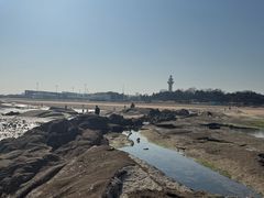 -日照灯塔风景区