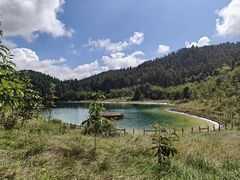 -武陵山森林公园