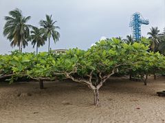 -三亚亚龙湾美高梅度假酒店FUN动冲浪