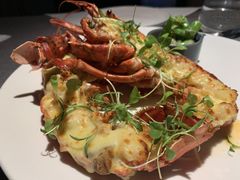波士顿龙虾-XUN Bistro西餐厅