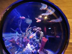 -沈阳海洋探索中心