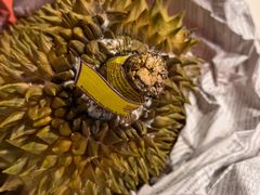 -海吉星国际农产品物流管理有限公司