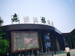 -黄海国家森林公园