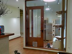 -有猫主题·治愈系猫咖(曾厝垵店)