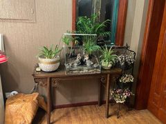 -莱蔻·圣灸堂·推拿艾灸(天山店)