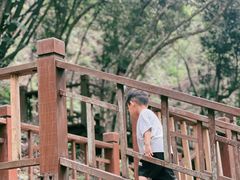 -石燕湖生态旅游景区