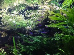 -上海海洋水族馆