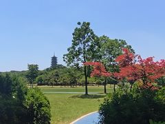 -宜兴龙背山森林公园