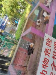 -萌宠亲子动物乐园(槐房万达店)