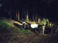 -清迈夜间动物园