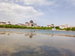 -莲花池公园