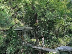 -广州兰圃