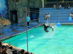 -合肥野生动物园