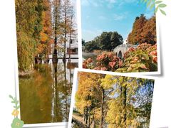 -中国科学院华南植物园