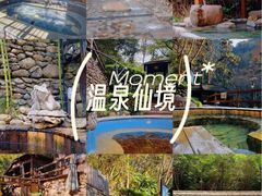 -宁海森林温泉