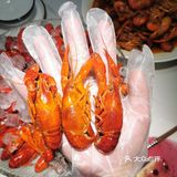小龙虾季来了，必打卡马头巷尝美味