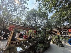 -青城甲(青城山店)