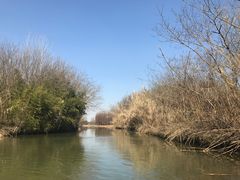 -溱湖国家湿地公园