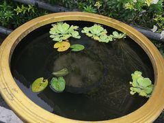 -帕辛寺