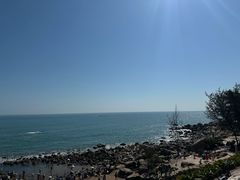 -广东惠东海龟国家级自然保护区