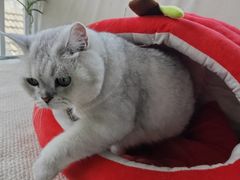 -小时光咖啡馆(北锣鼓巷店)